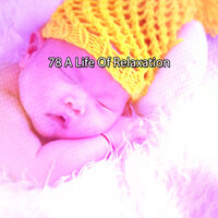 Starry Sky - Monarch Baby Lullaby Institute