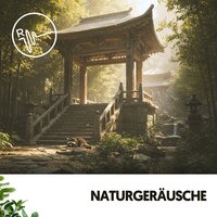 Himmlischer Tanz der Träume - Música Relajante Para Leer & Rivers and Streams & Entspannungsmusik