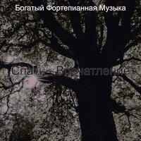 Музыка (Момент) - Богатый Фортепианная Музыка