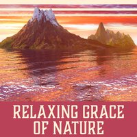 Sparkling Stars: Night Meditation - Calm Nature Oasis