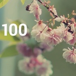 Топ 100 Muzmo май 2016