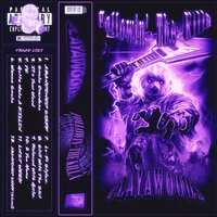 Lo-Fi Stylez - playawoods & PLAYA SSK