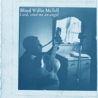 Experience Blues - Blind Willie McTell