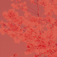 Trio Jazz Soundtrack for Self Care - Dinner Music