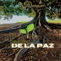 Puentes Sonoros - Música Espiritual & Musica para climatizar el hogar