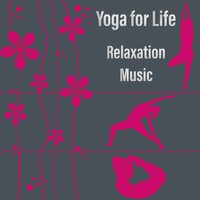 Body Celebration - Namaste Healing Yoga
