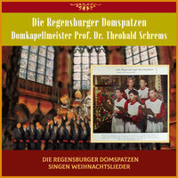 Stille Nacht, heilige Nacht - Die Regensburger Domspatzen & Domkapellmeister Prof. Dr. Theobald Schrems & Франц Грубер