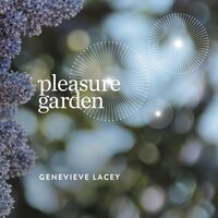 Bee Halo - Genevieve Lacey