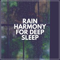Crystal Clear Rain, Pt. 18 - The Sound of the Rain