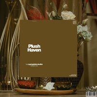 Shared Mindset - Pure Spa Massage Music