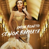 Mi Primer Amor - Senor Bachata & La Gfatura