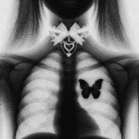 KRUSHSEXX - nightfxrce & dvspair