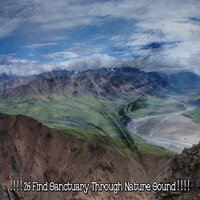 Успокаиваясь с природой - Nature Sounds Artists