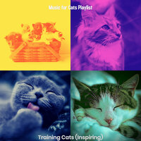 Playful (Kittens) - Music for Cats Playlist