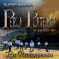 Tomasita de Mi Vida (Zapateado) - Super Banda Perla Plateada