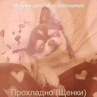 Созерцая (Тихие щенки) - Музыка для собак роскошный