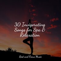 Weightless Feelings - Meditation Music Club & Academia de Música con Sonidos de la Naturaleza & Massage Therapy Music