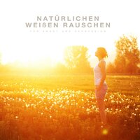 Donner und regen - Weißes Rauschen Forschung