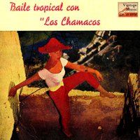 Saguita Al Bate (Rumba) - Los Chamacos