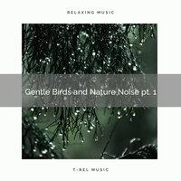 Birds Noises Revealed pt. 1 - Spa Music Hour