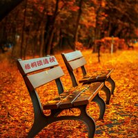 春花秋月 - 养生音乐盒