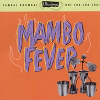Hernando's Hideaway - Billy May & The Rico Mambo Orchestra