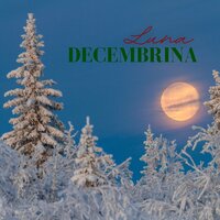 Navidad Tradicional - Canciones De Navidad