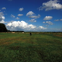 Rovertse Heide - Biosphere