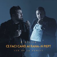 Ce faci cand ai rana-n piept - Leo de la Kuweit & B.Piticu