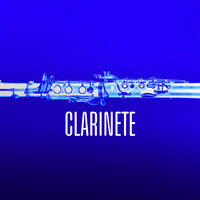 CLARINETE 2 - 2.wav - Orquesta Lírica de Barcelona
