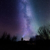 Dreamscape Blossoms - Relajacion Del Mar & Musica Para Niños & SleepTherapy