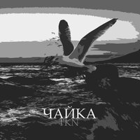 Чайка - TKN