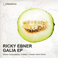 Following - Ricky Ebner & Kristian Veron