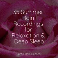 Grassland, Raven, Animal Calls, Wind - Relaxing Mindfulness Meditation Relaxation Maestro & Classical Study Music & Asian Zen: Spa Music Meditation