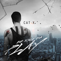 Ты или я - Cat-X