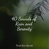 Rains and Drains - The Sleep Specialist & Thunder and Rain Storm & Lightning