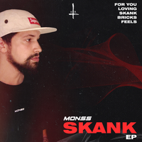 Bricks - MONSS