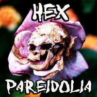 Trick Up My Sleeve - Hex