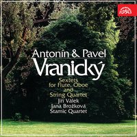 Sextet in D Minor: II. Andante - Jiri Valek & Jana Brozkova & Stamic Quartet & Stamic Quartet, Jana Brožková, Jiří Válek