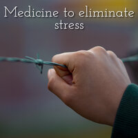 Relaxing Office Playlist - Zen Universal