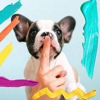 Dashing Sleeping Puppies - Dog Separation Anxiety Music