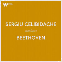 Beethoven: Symphony No. 9 in D Minor, Op. 125 "Choral": III. Adagio molto e cantabile - Andante moderato - Sergiu Celibidache & Ludwig van Beethoven