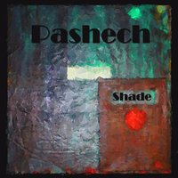 Shade 14 - Pashech