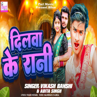 Dilwa Ke Rani - Vikash Banshi & Abita Singh
