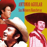 La Paloma Triste - ANTONIO AGUILAR