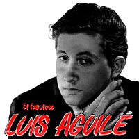 Llegaste Con el Verano - Luis Aguile