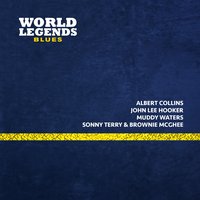 Baby Please Don't Go - Muddy Waters