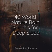 Tropical Forest, Subtle Stream, Animals - Exam Study Classical Music & The Relaxation Principle & Sleep Sound of Nature