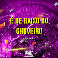 É de Baixo do Chuveiro - MC Delux & DJ Negritto
