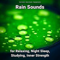 Rain Sounds for Relaxing Pt. 64 - Nature Sounds & Rain Sounds & Regengeräusche